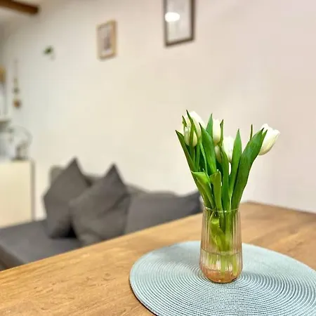 K22 Al. Niepodleglosci -wierzbno Apartmán *